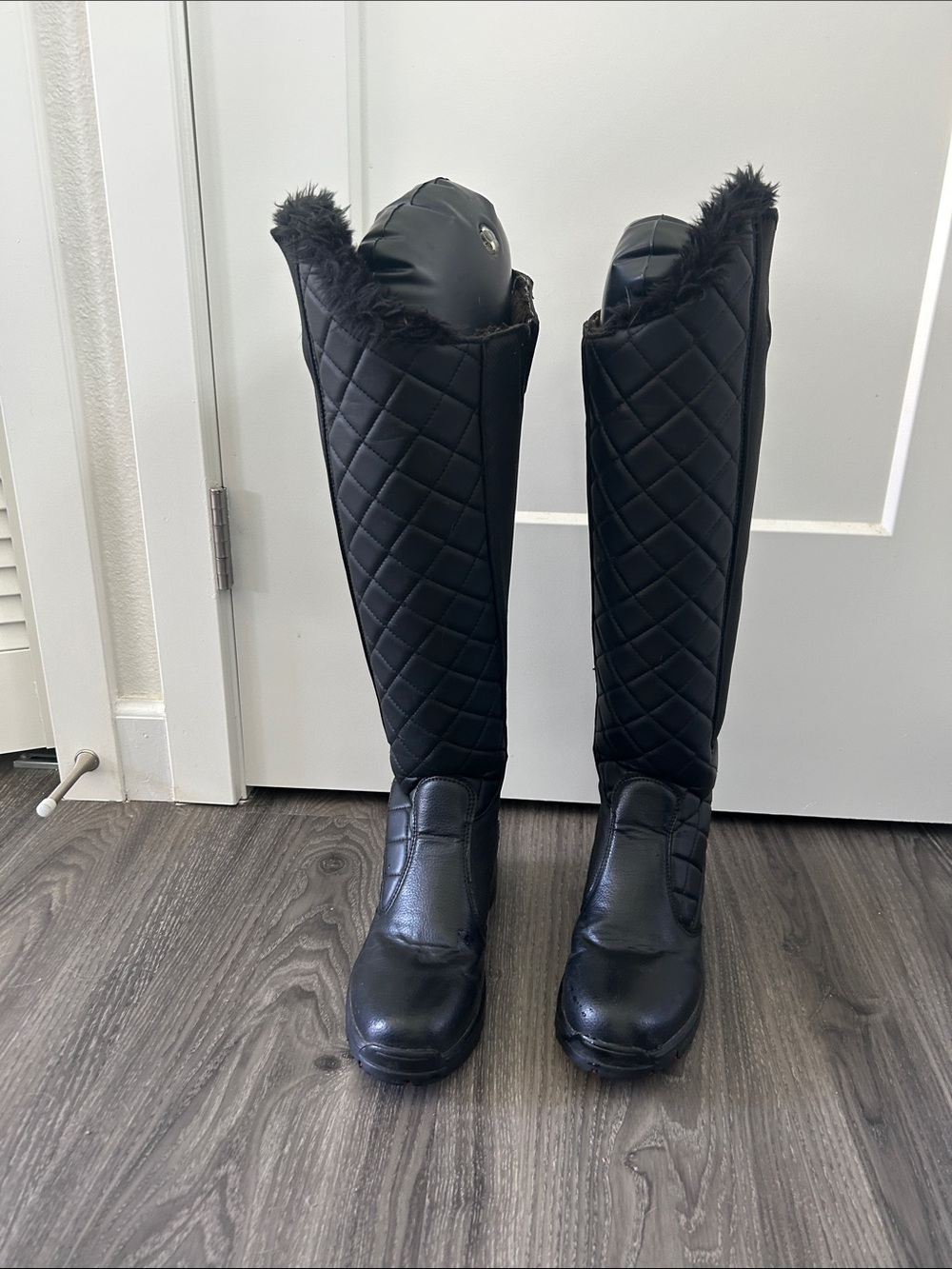 Mountain Horse Stella Polaris tall winter winter riding boots